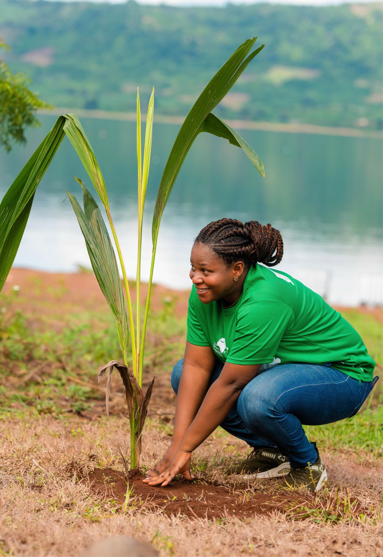Freshwater ecosystem restoration
