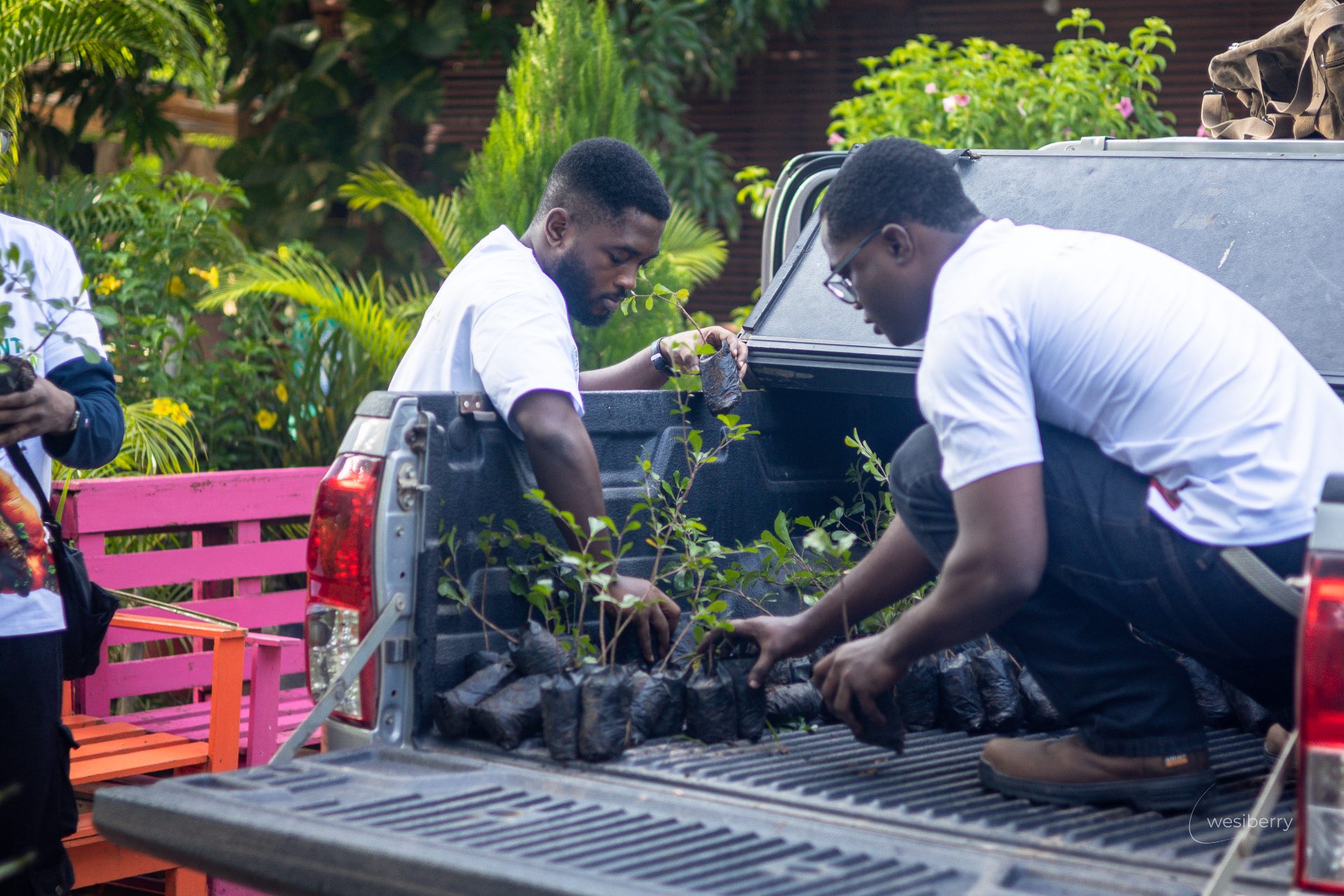 Environmental clean-up campaign